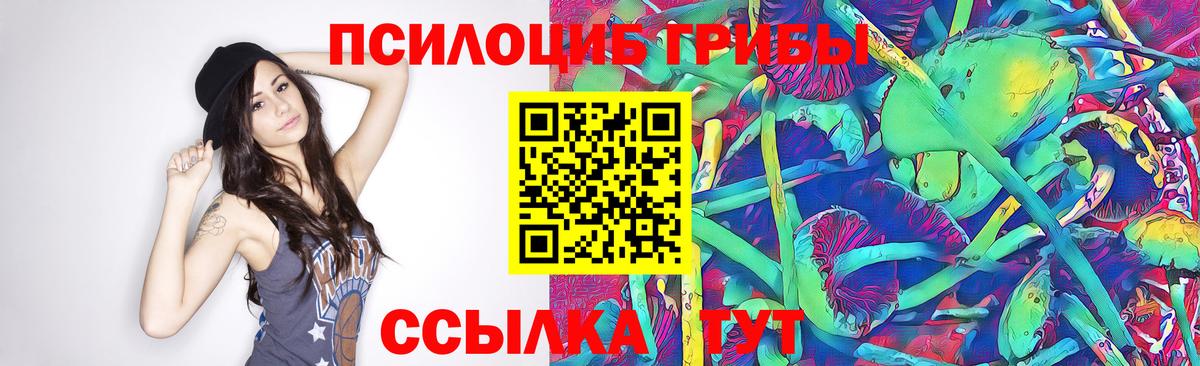 Ставрополь  Псилоцибиновые грибы Cubensis  Вход с VPN 